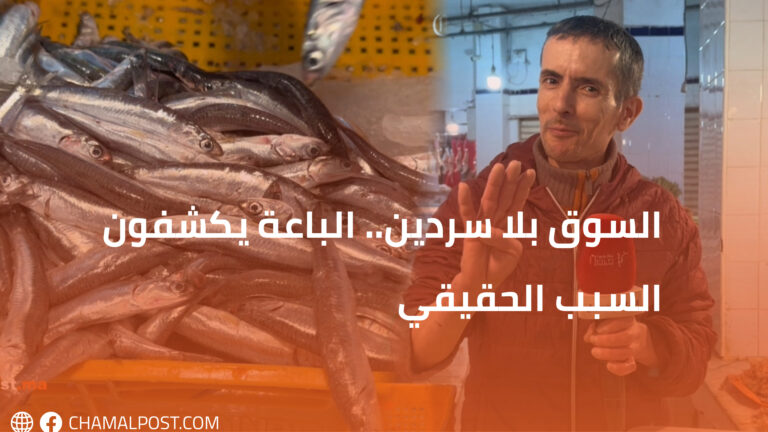 السوق بلا سردين.. الباعة يكشفون السبب الحقيقي