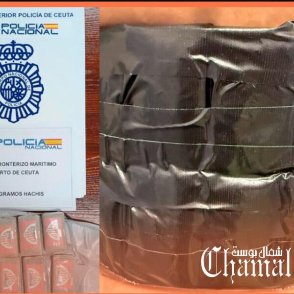 سبتة المحتلة ..توقيف سيدة بحوزته كيلوغرام من الحشيش تحمل شعار المغرب التطواني