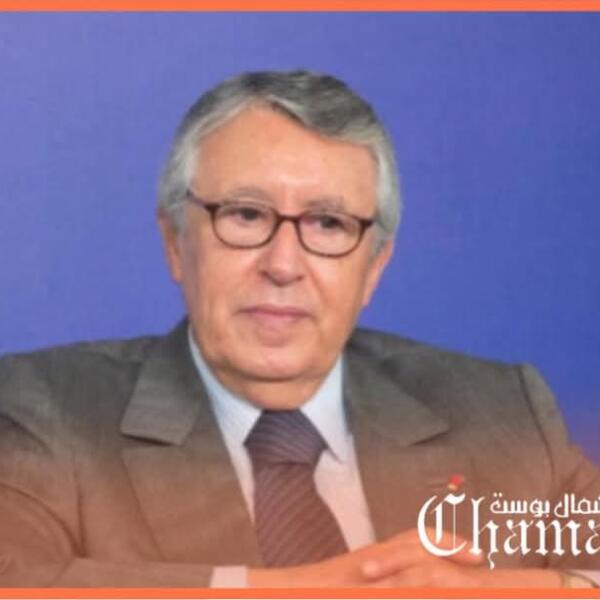 رسميا.. فاطمة السعدي تخلف محمد بن عيسى بمجلس المستشارين