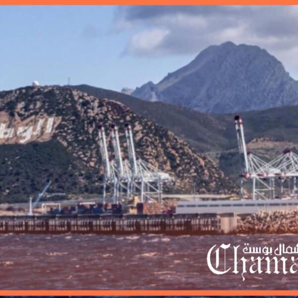 ارتفاع معاملات القطب الصناعي بميناء طنجة المتوسط