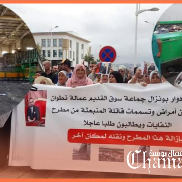 بعد عجزها عن استكمال برنامجها الاستثماري.. فسخ عقد شركة إيكوميد