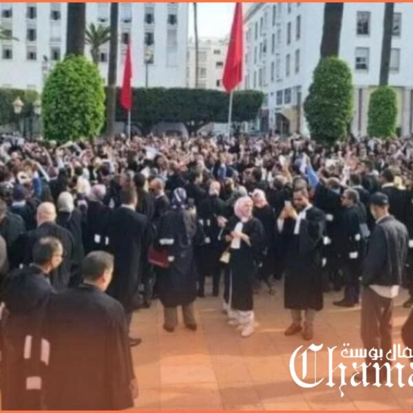 طنجة تحضتن المؤتمر الوطني الـ 32 لجمعية هيأت المحامين بالمغرب