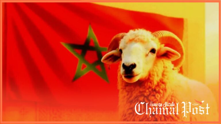 رغم القرار الحكيم بإلغاء شعيرة نحر أضحية العيد.. إقبال خفي على شراء الخرفان