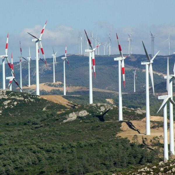 لاستشراف مستقبل الطاقة الخضراء..طنجة تحتضن منتدى RGEF 2025