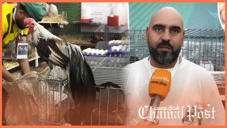 من “الشكوكو” إلى “أيام سيماني”.. دواجن الزينة تفرض حضورها في "سيام" مكناس 12 من “الشكوكو” إلى “أيام سيماني”.. دواجن الزينة تفرض حضورها في “سيام” مكناس