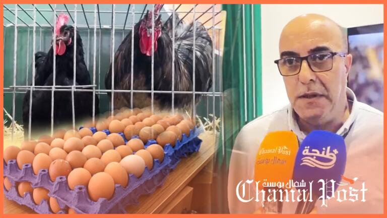 قطاع الدواجن يرسخ مكانته ضمن سلاسل الإنتاج الفلاحي بعد بلوغ الاكتفاء الذاتي