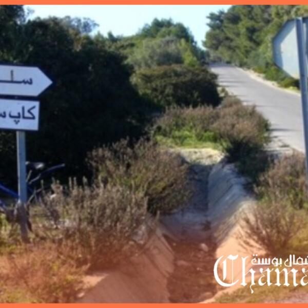 وفاة عنصر من القوات المساعدة في حادث عرضي بغابة سلوقية بطنجة