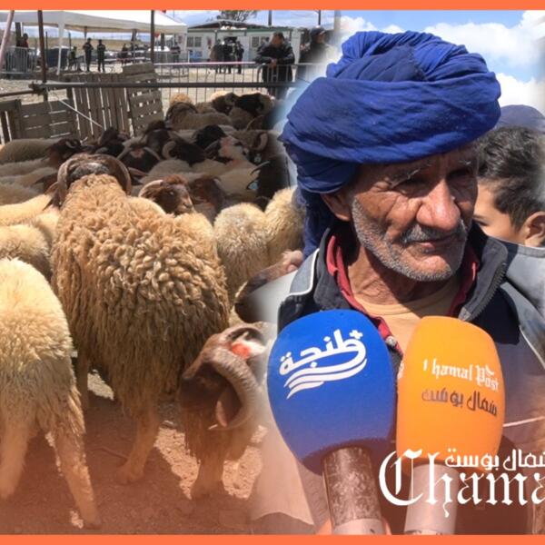 غلاء غير مسبوق.. سخط وغضب بين المواطنين، وأثمنة أضحي العيد ترهق الجيوب
