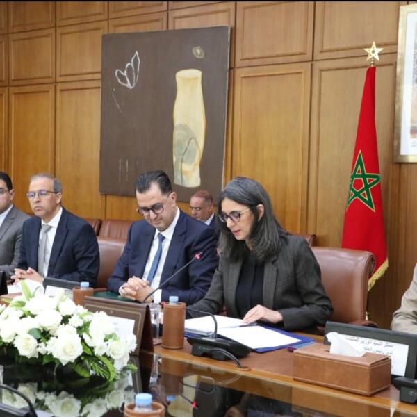 أكدت مواصلتها لتنزيل المشاريع المهيكلة..وزيرة المالية تترأس دورة مجلس وكالة الشمال