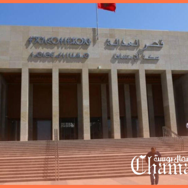 تقديم شخصيات من الإنعاش العقاري والمقاولة وصيارفة أمام قاضية التحقيق بالرباط في ملف “دانييل زيوزيو”