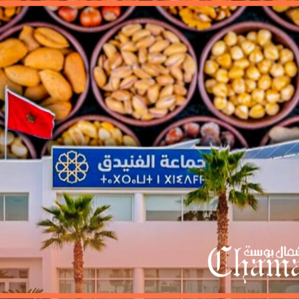 هل غررت المعارضة بمستشار البام واستغلت عدم نضجه في السياسة