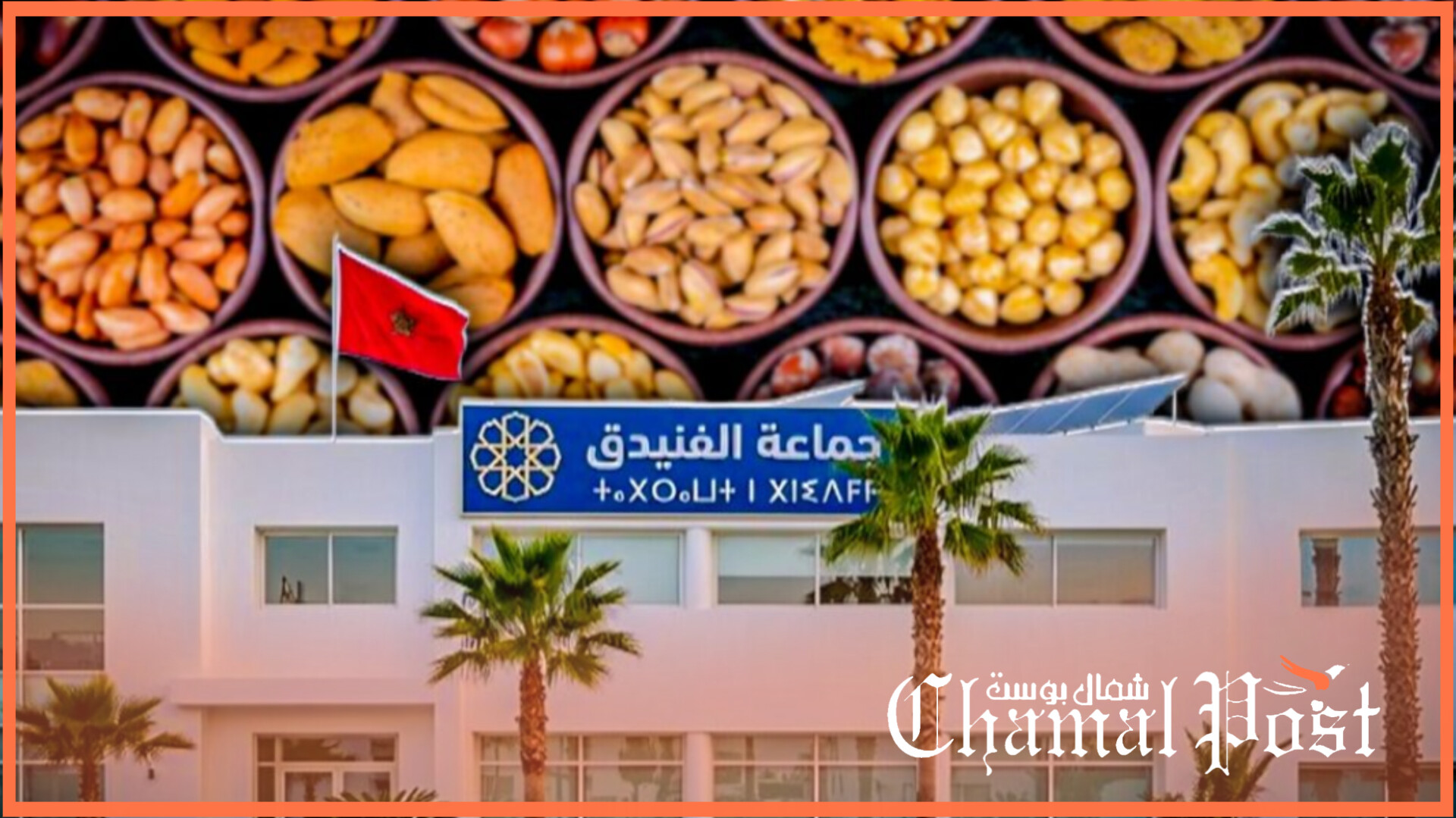 هل غررت المعارضة بمستشار البام واستغلت عدم نضجه في السياسة 1 InShot 20260520 215521561