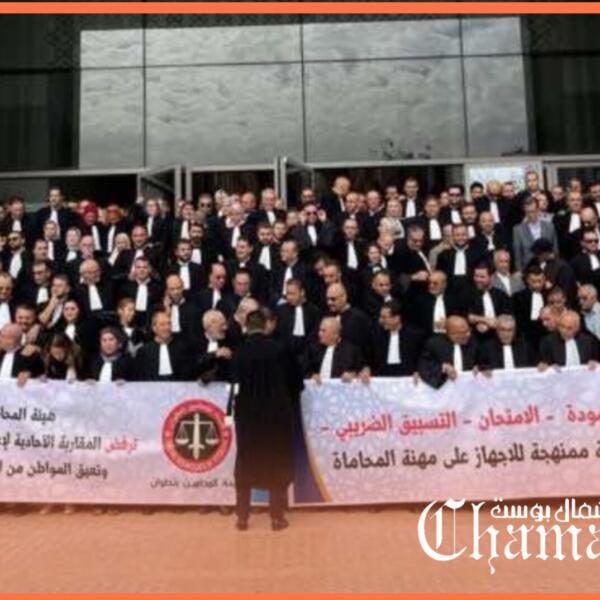 شمال بوست 9 أسماء في قفص المساءلة: محامون برلمانيون مرروا قانوناً يواجه رفضاً واسعاً داخل المهنة