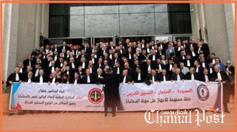أسماء في قفص المساءلة: محامون برلمانيون مرروا قانوناً يواجه رفضاً واسعاً داخل المهنة 3 أسماء في قفص المساءلة: محامون برلمانيون مرروا قانوناً يواجه رفضاً واسعاً داخل المهنة