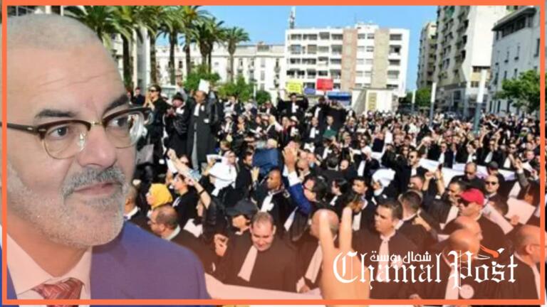 النقيب كمال المهدي.. رفض قانون المهنة موقف تاريخي في مواجهة “الاستبداد التشريعي”
